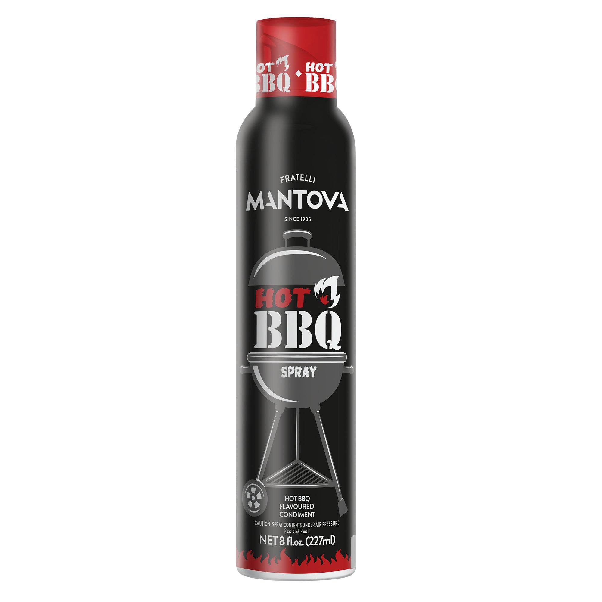 HOTBBQFLAVOUREDCONDIMENT_MANTOVA_227ml.jpg